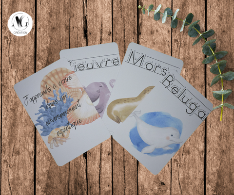 Cartes d'apprentissage aquatique